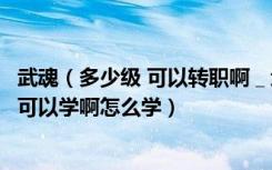 武魂（多少级 可以转职啊＿武魂怎么转职＿武魂炎魔几级才可以学啊怎么学）