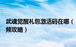 武魂觉醒礼包激活码在哪（《武魂》游戏序列号激活详细视频攻略）