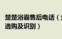 楚楚浴霸售后电话（楚楚浴霸怎么样浴霸怎么选购及识别）