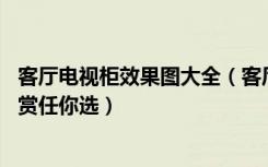 客厅电视柜效果图大全（客厅电视柜效果图,多种风格任你欣赏任你选）