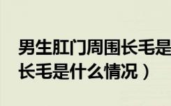 男生肛门周围长毛是怎么回事?（男性肛门边长毛是什么情况）