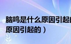 脑鸣是什么原因引起的有危险吗（脑鸣是什么原因引起的）