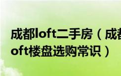 成都loft二手房（成都loft楼盘有哪些在出售loft楼盘选购常识）