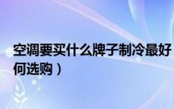 空调要买什么牌子制冷最好（什么牌子的空调制冷好空调如何选购）