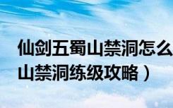 仙剑五蜀山禁洞怎么走（《仙剑奇侠传5》蜀山禁洞练级攻略）