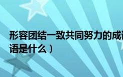 形容团结一致共同努力的成语（形容团结一致共同努力的成语是什么）