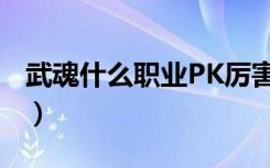 武魂什么职业PK厉害（武魂什么职业PK最牛）