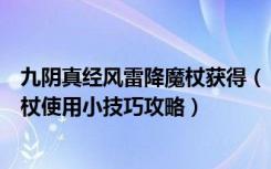 九阴真经风雷降魔杖获得（《九阴真经》最新武学风雷降魔杖使用小技巧攻略）