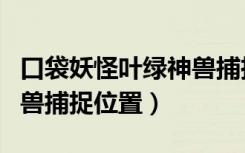 口袋妖怪叶绿神兽捕捉地点（口袋妖怪叶绿神兽捕捉位置）