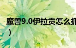 魔兽9.0伊拉贡怎么抓（魔兽9.0伊拉贡的抓法）