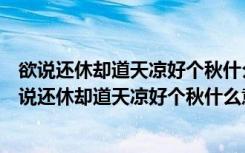 欲说还休却道天凉好个秋什么意思有词不达意的意思吗（欲说还休却道天凉好个秋什么意思）