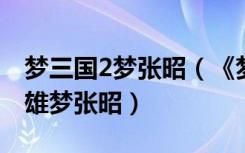 梦三国2梦张昭（《梦三国》苍生共生神级英雄梦张昭）