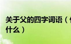 关于父的四字词语（什么父什么日四字词语是什么）