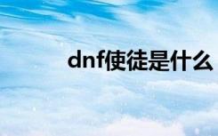 dnf使徒是什么（dnf使徒含义）