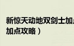 新惊天动地双剑士加点（《新惊天动地》双剑加点攻略）