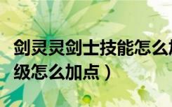 剑灵灵剑士技能怎么加点（剑灵灵剑士各个等级怎么加点）