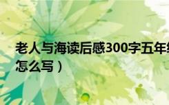 老人与海读后感300字五年级（《老人与海》读后感300字怎么写）