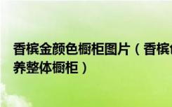 香槟金颜色橱柜图片（香槟色整体橱柜效果图有哪些如何保养整体橱柜）