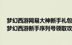 梦幻西游网易大神新手礼包序列号怎么获得（《梦幻西游》梦幻西游新手序列号领取攻略）