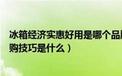 冰箱经济实惠好用是哪个品牌（尊贵冰箱质量怎么样冰箱选购技巧是什么）