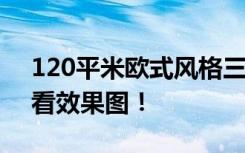 120平米欧式风格三居室，预算11万，点击看效果图！