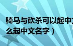 骑马与砍杀可以起中文名字吗（骑马与砍杀怎么起中文名字）