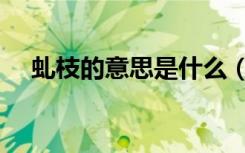 虬枝的意思是什么（虬枝的意思是什么）