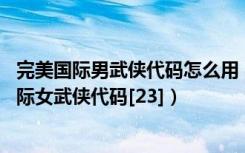 完美国际男武侠代码怎么用（完美国际武侠代码详解 完美国际女武侠代码[23]）