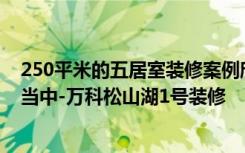 250平米的五居室装修案例欣赏，将现代风融入到现代生活当中-万科松山湖1号装修