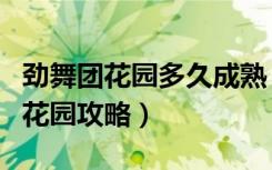 劲舞团花园多久成熟（《劲舞团》劲舞团情侣花园攻略）