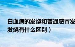 白血病的发烧和普通感冒发烧的区别?（普通发烧与白血病发烧有什么区别）