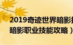 2019奇迹世界暗影技能加点（《奇迹世界》暗影职业技能攻略）