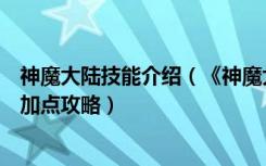 神魔大陆技能介绍（《神魔大陆》魔焰系神魔大陆血魔天赋加点攻略）