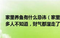 家里养鱼有什么忌讳（家里养鱼其实有讲究，这3大禁忌很多人不知道，财气都溜走了）