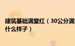 建筑基础满堂红（30公分满堂红基础可建几层满堂红基础是什么样子）