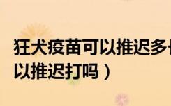 狂犬疫苗可以推迟多长时间有效（狂犬疫苗可以推迟打吗）