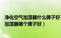 净化空气加湿器什么牌子好（空气净化加湿器价格空气净化加湿器哪个牌子好）