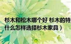 杉木和松木哪个好 杉木的特点有哪些（杉木家具的优缺点是什么怎样选择杉木家具）