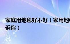 家庭用地毯好不好（家用地毯怎么选十年家政经验的阿姨告诉你）