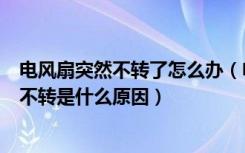 电风扇突然不转了怎么办（电风扇掉下来不转怎么办电风扇不转是什么原因）