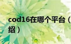 cod16在哪个平台（使命召唤16游戏平台介绍）