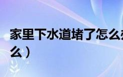 家里下水道堵了怎么办（下水道堵塞原因是什么）