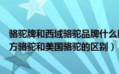 骆驼牌和西域骆驼品牌什么区别（东方骆驼属于几线品牌东方骆驼和美国骆驼的区别）