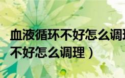 血液循环不好怎么调理应多吃什么（血液循环不好怎么调理）