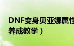 DNF变身贝亚娜属性介绍（DNF贝亚娜斗神养成教学）