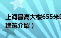 上海最高大楼655米叫什么名（上海最高大楼建筑介绍）