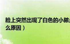 脸上突然出现了白色的小脓点（脸上起白色的小脓颗粒是什么原因）