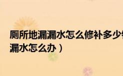 厕所地漏漏水怎么修补多少钱（厕所补漏一般多少钱卫生间漏水怎么办）