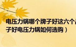 电压力锅哪个牌子好这六个品牌很好用（买电压力锅什么牌子好电压力锅如何选购）