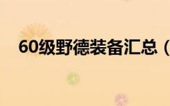 60级野德装备汇总（60级野德装备选择）